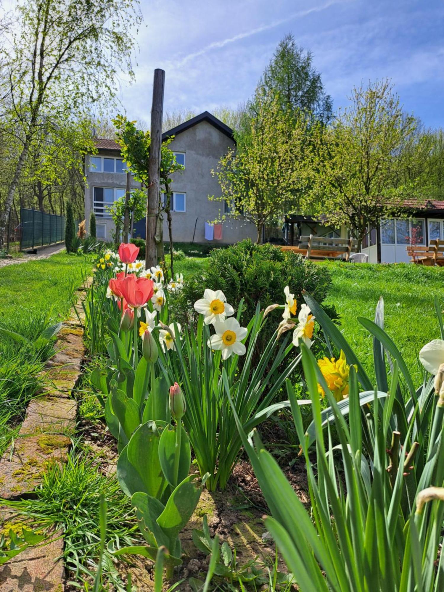 Villa Mala Farma Nani Visoko Exterior foto