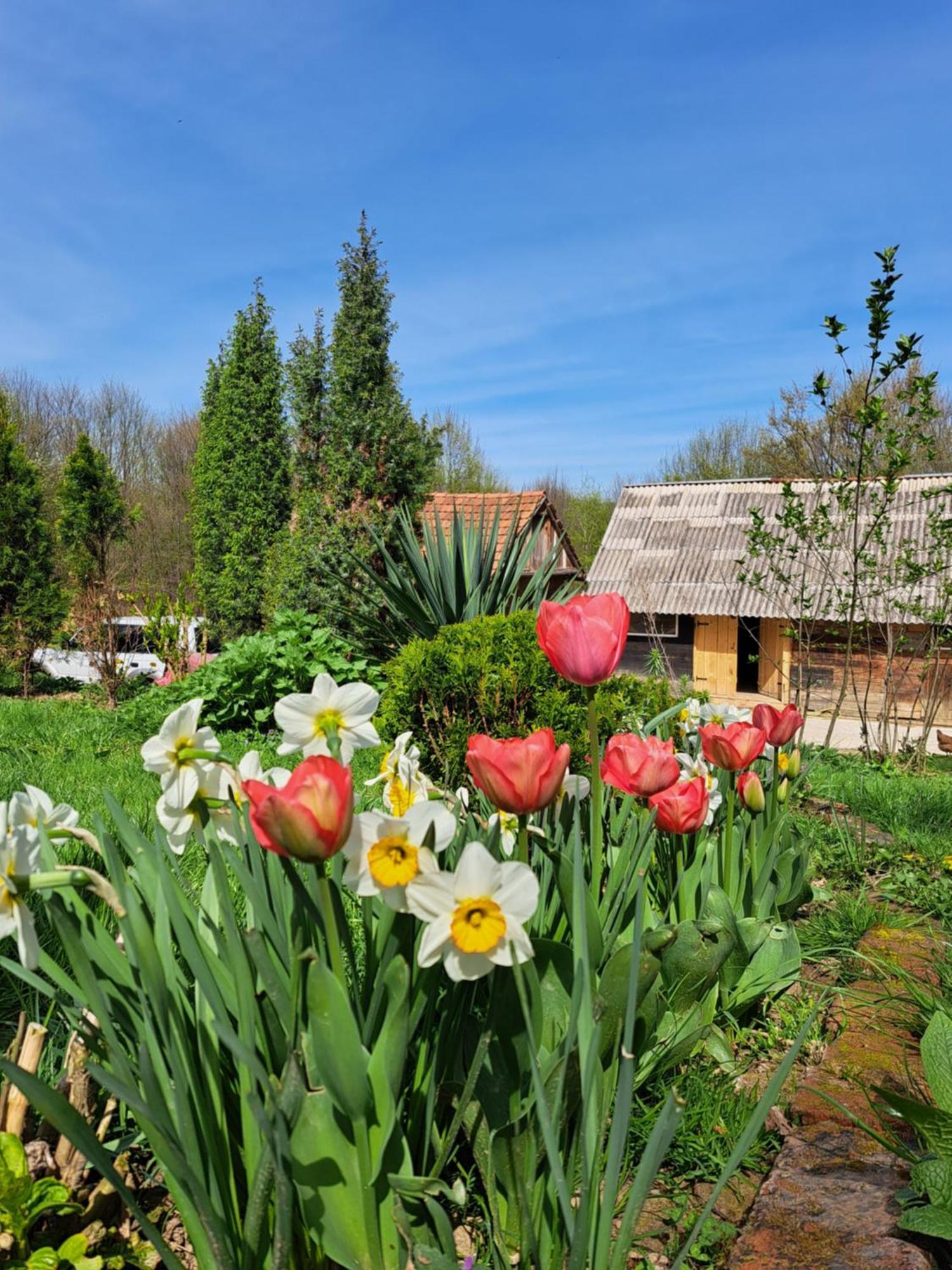 Villa Mala Farma Nani Visoko Exterior foto